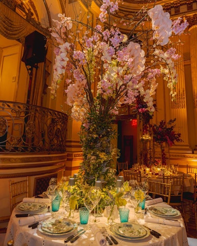 Zoe Feldman Design