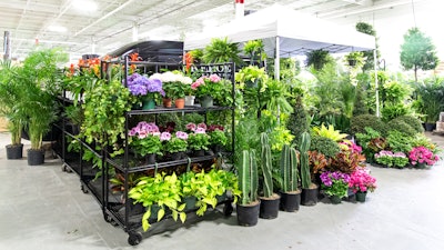 “Visitors to the pop-ups actually thank us for being there, and you can see on their faces just how happy it makes them to see these gardens appear in their neighborhoods,” says Tom Kehoe about Kehoe Designs' Green Market Gardens.