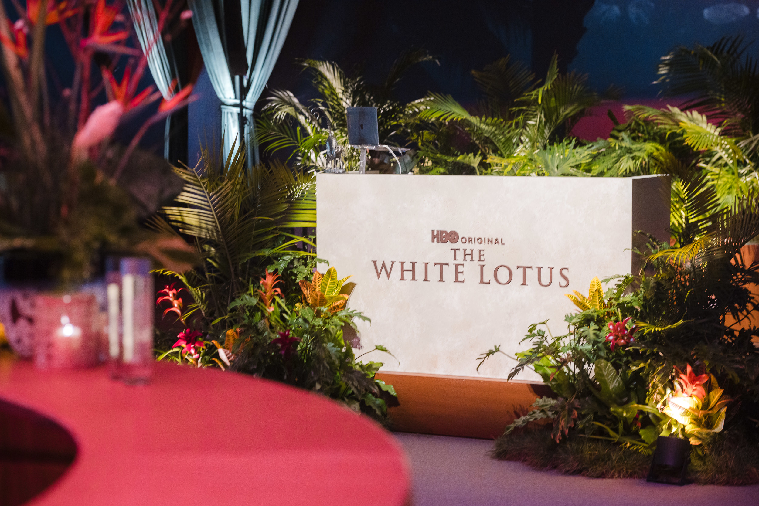 171545HBO White Lotus Season3@David Jon Photography273A1914(2)